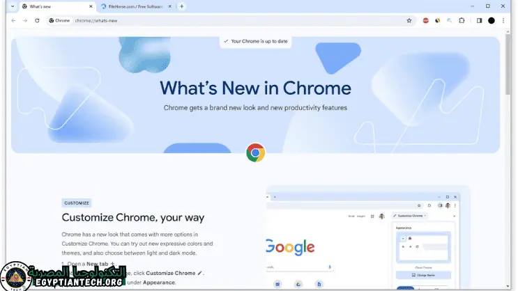 تحميل برنامج Google Chrome Portable