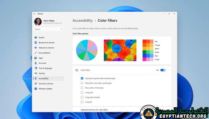 برنامج Windows Windows 11
