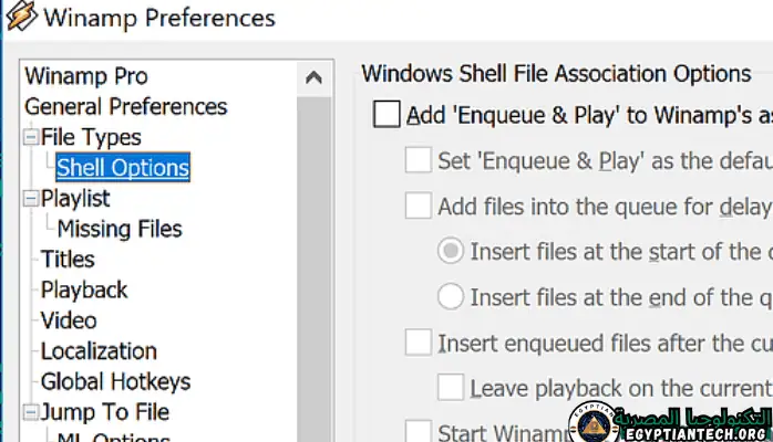 برنامج Winamp Pro